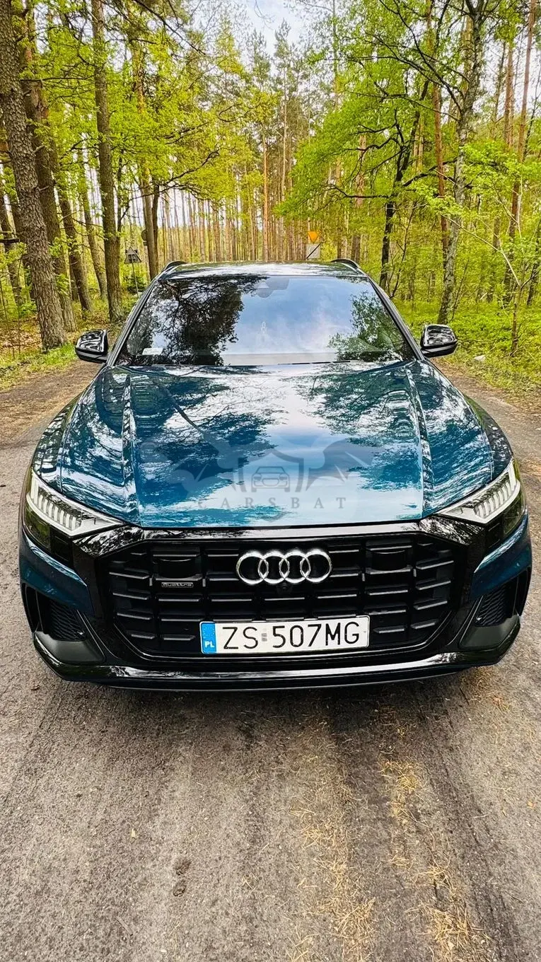Audi Q8 50 TDI mHEV Quattro Tiptronic 2019