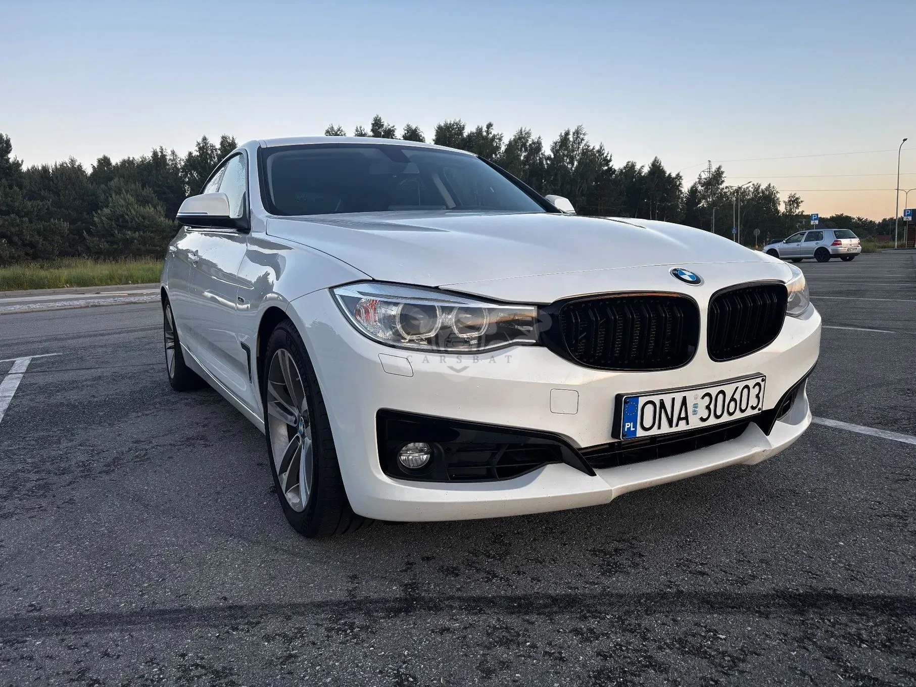 BMW 3 Series F34 320d 2015