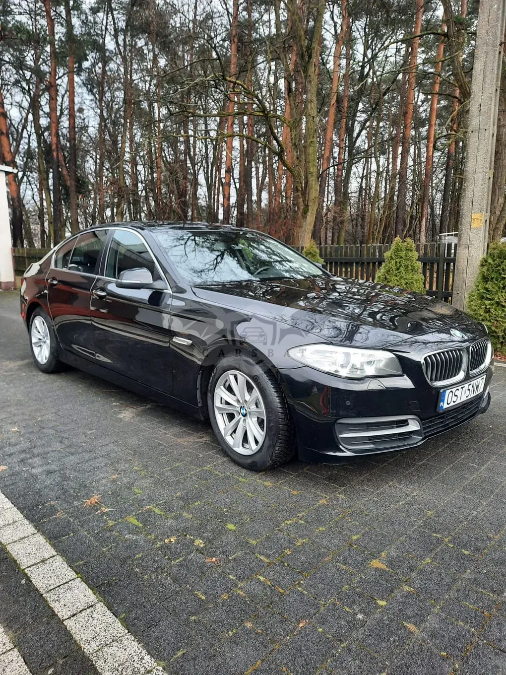 BMW 5 Series F10/F11 518d 2016