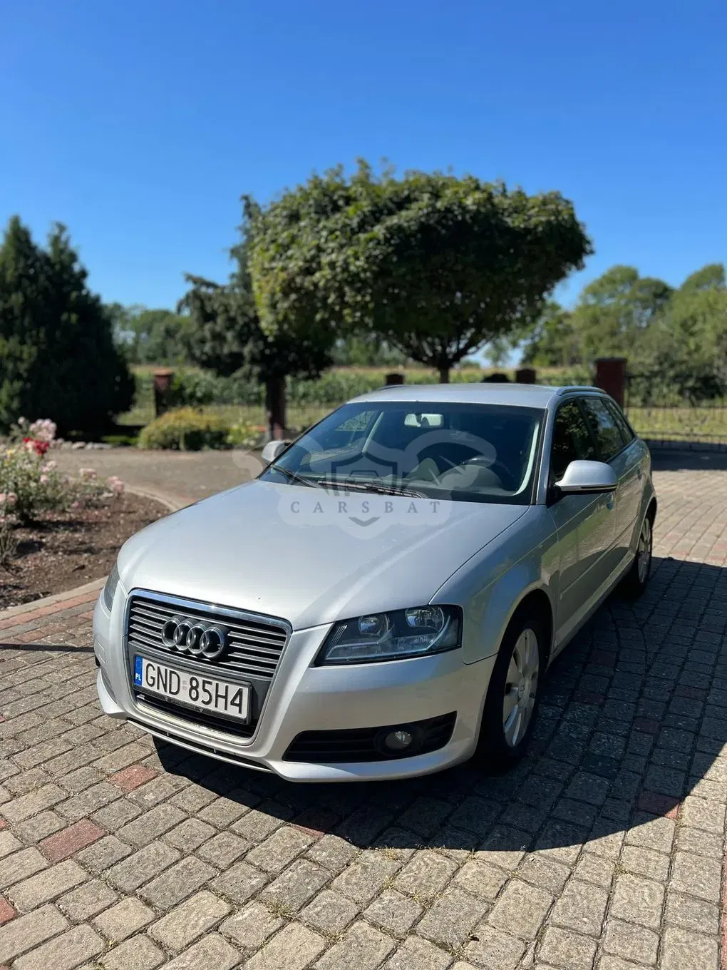 Audi A3 8P 2009