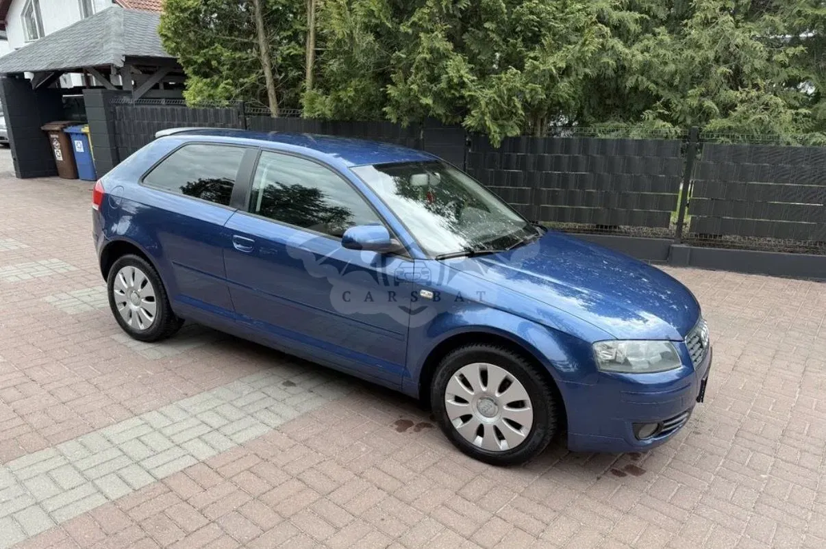 Audi A3 8P 1.6 Ambiente 2003