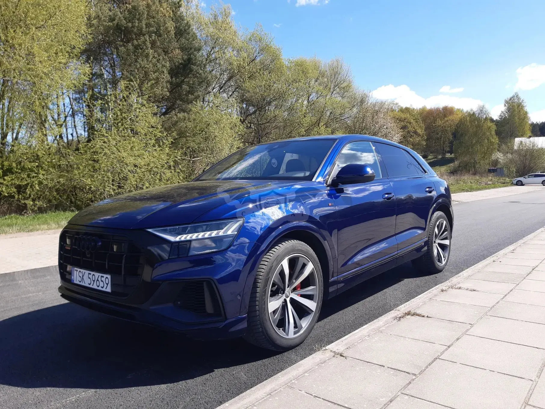Audi Q8 50 TDI mHEV Quattro Black Edition Tiptronic 2019
