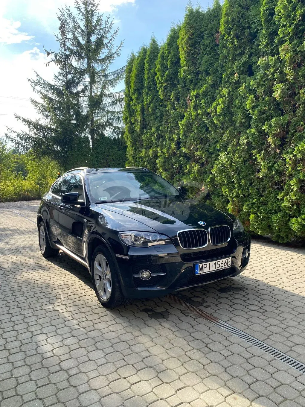 BMW X6 E71 2010