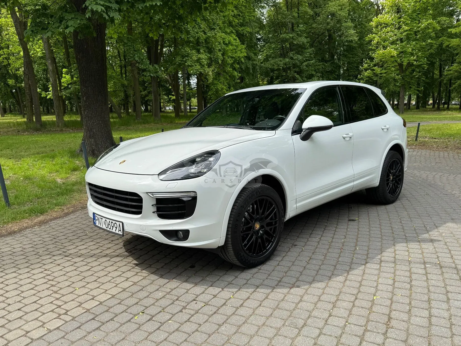 Porsche Cayenne II Platinum Edition 2017