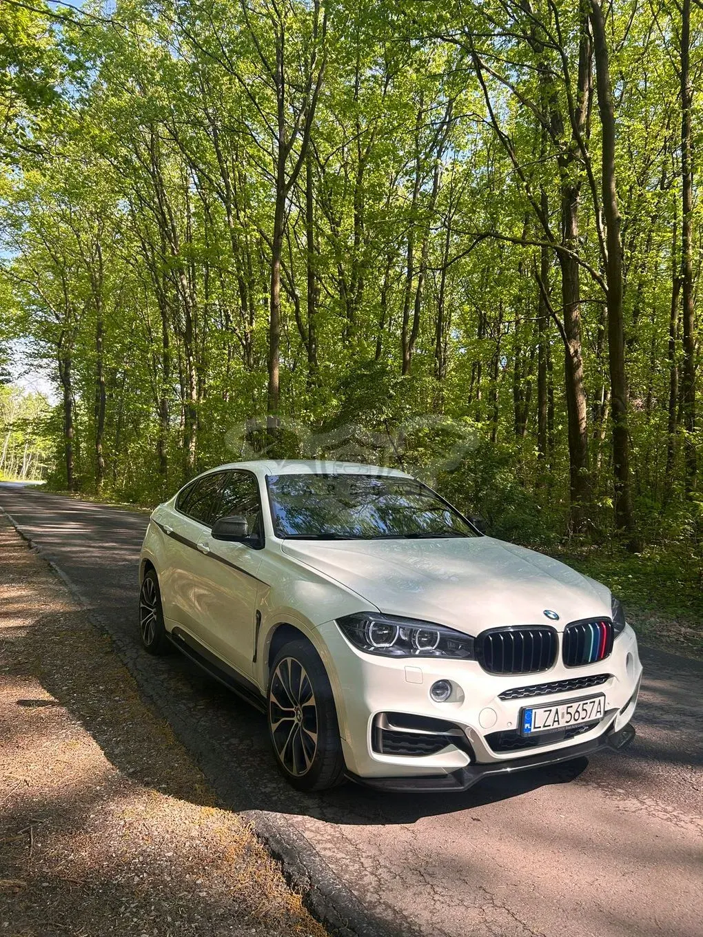 BMW X6 2016
