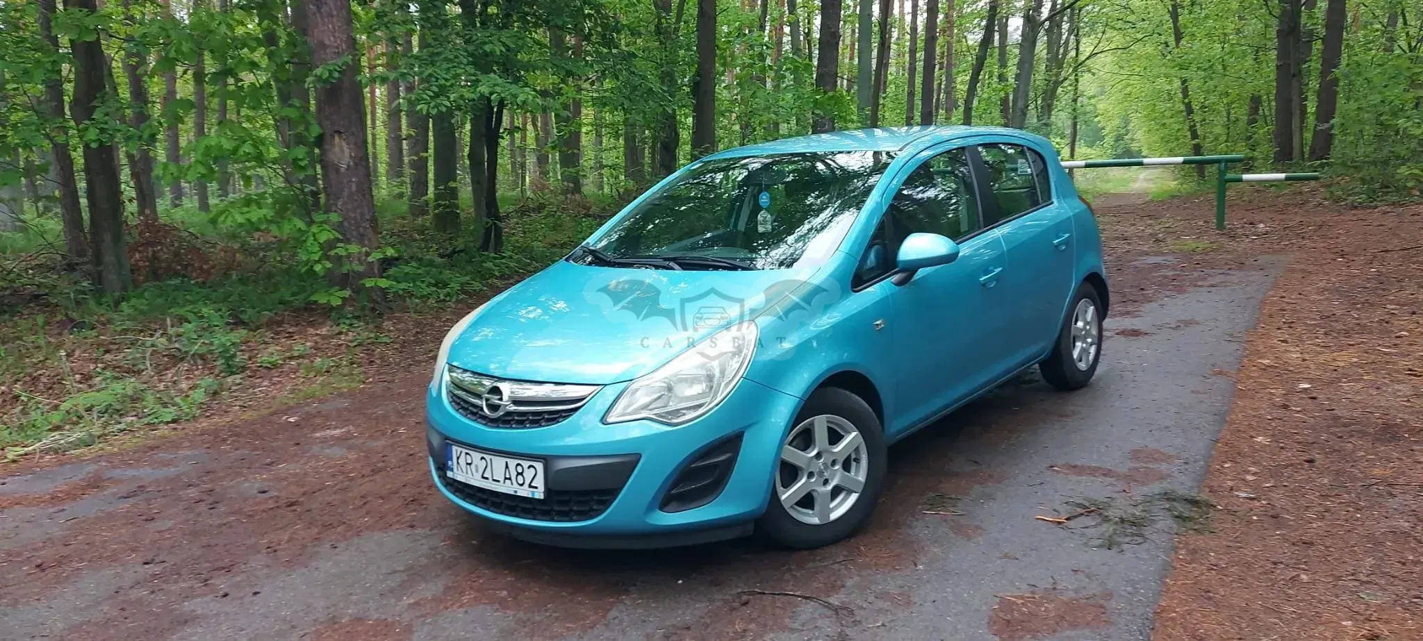 Opel Corsa D 1.2 16V EcoFLEX Start-Stop Color Elegance 2011