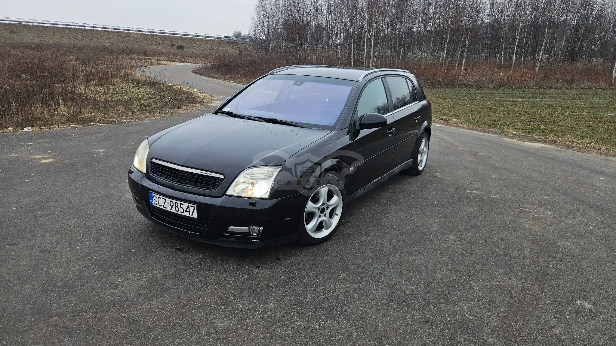 Opel Signum 2004