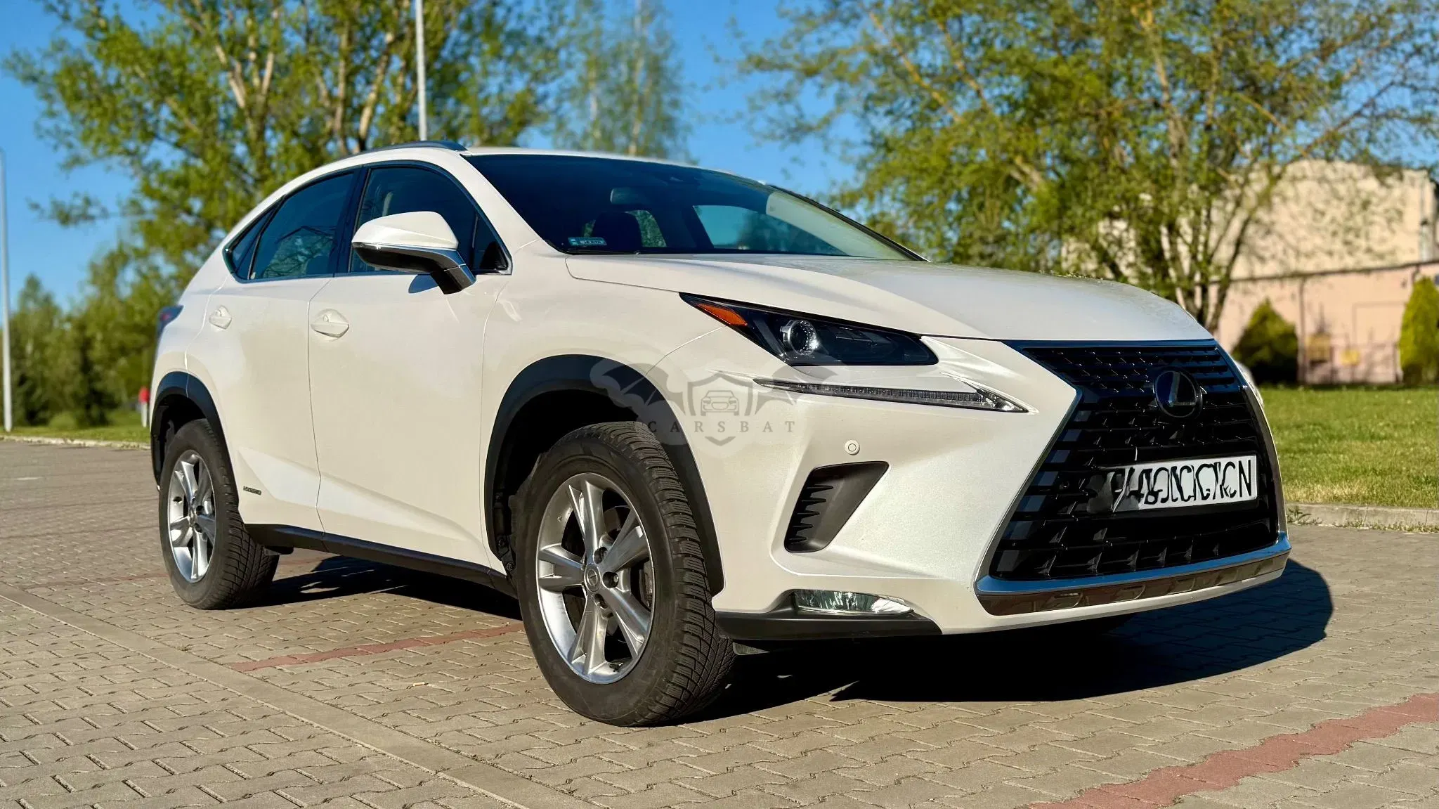 Lexus NX I 300h Business Edition AWD 2019