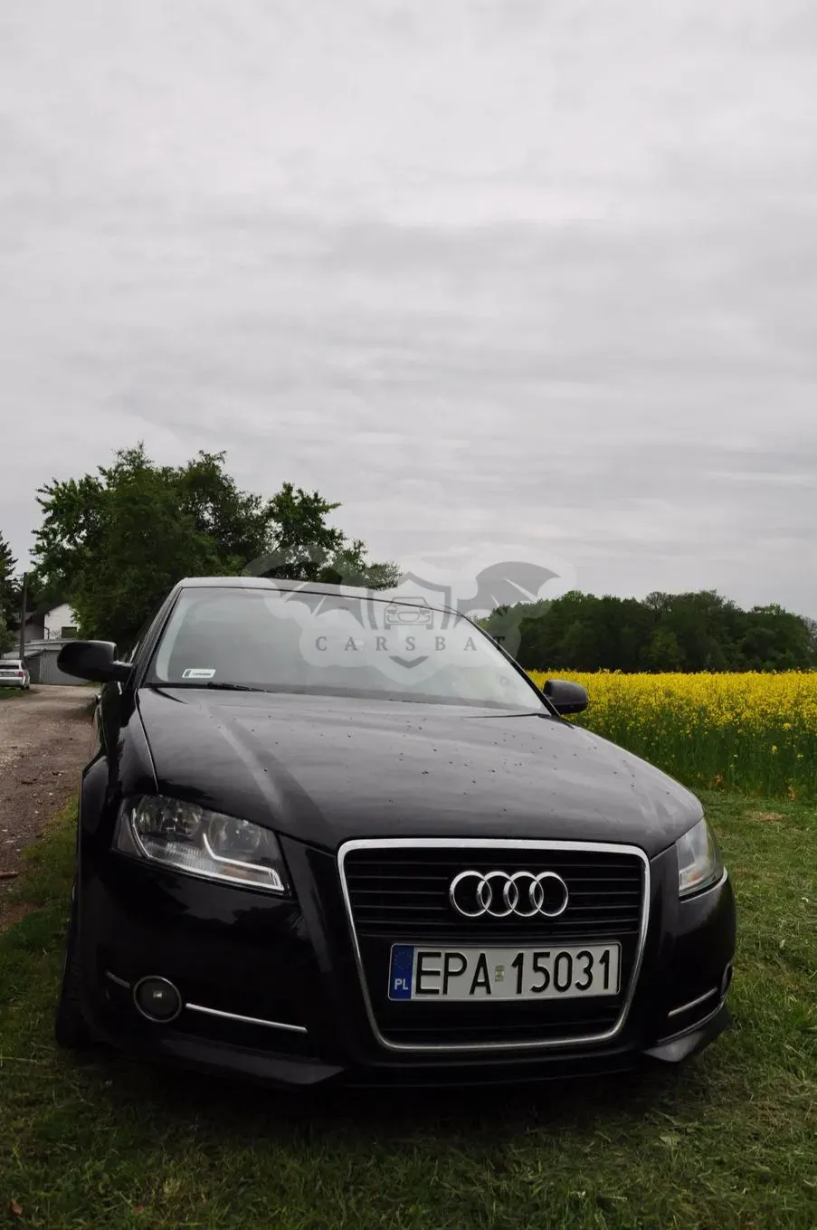 Audi A3 8P 1.6 TDI 102g DPF 2010