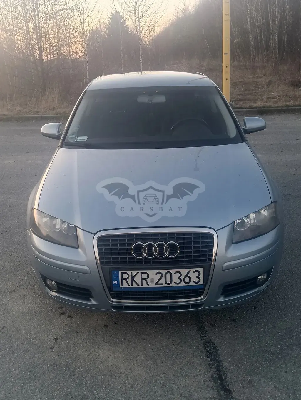Audi A3 8P 2.0 TDI DPF S line Sportpaket (plus) 2006