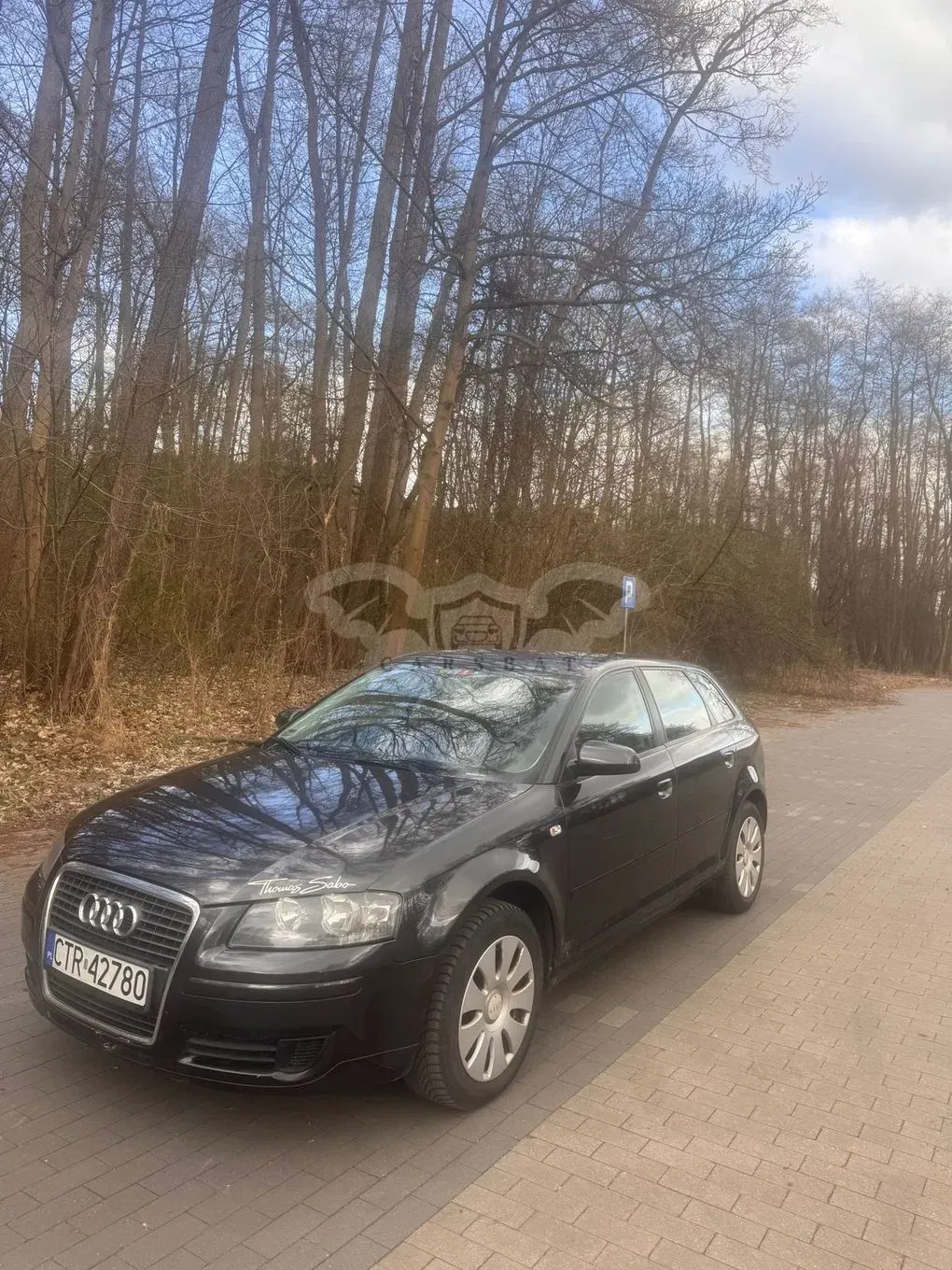 Audi A3 8P 2.0 TDI Attraction 2007