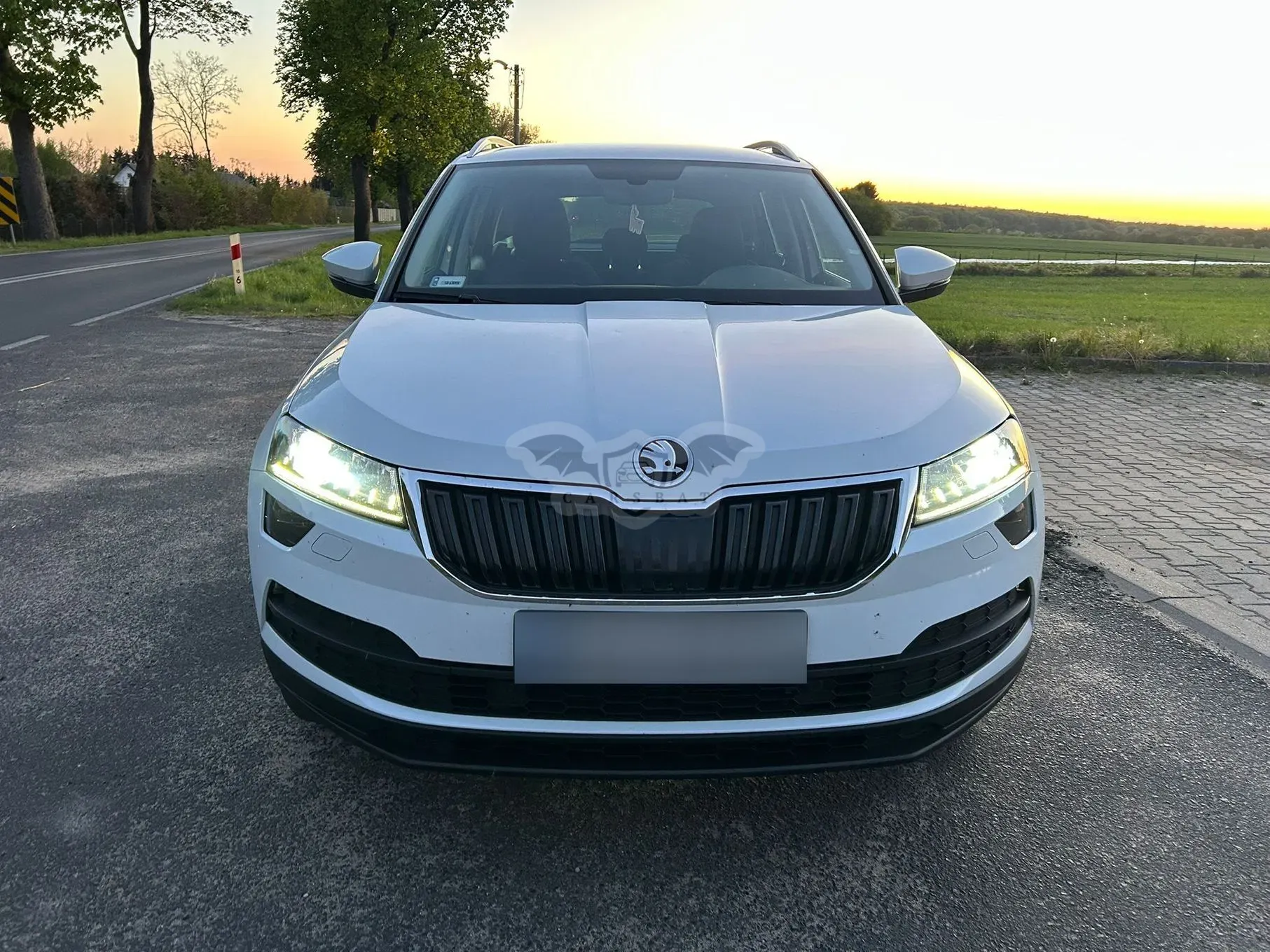 Skoda Karoq 2.0 TDI SCR 4x4 Ambition 2019