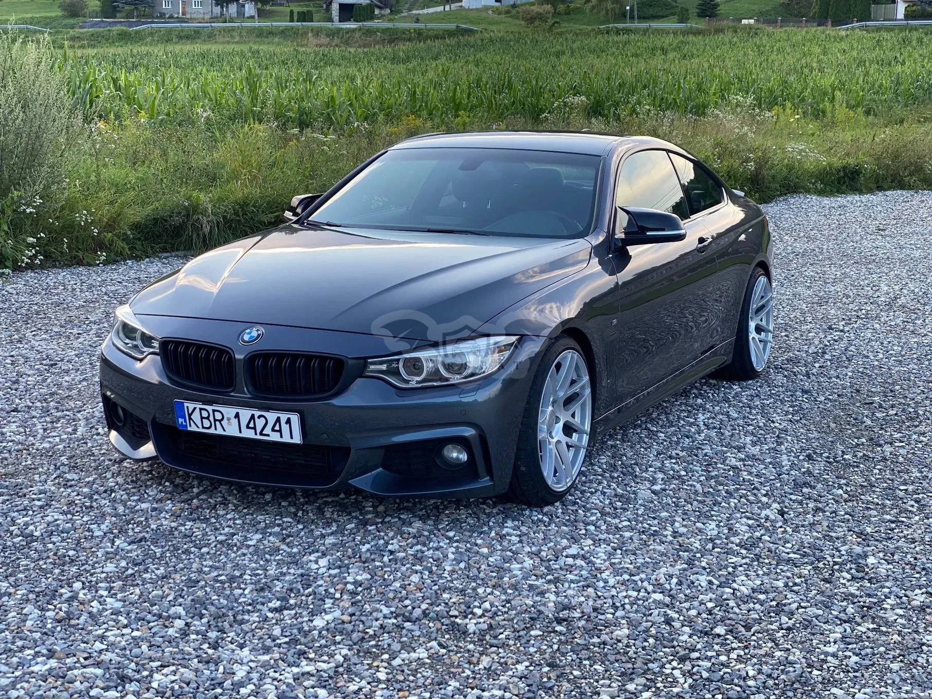 BMW 4 Series I F32/F33/F82 425d M Sport 2014