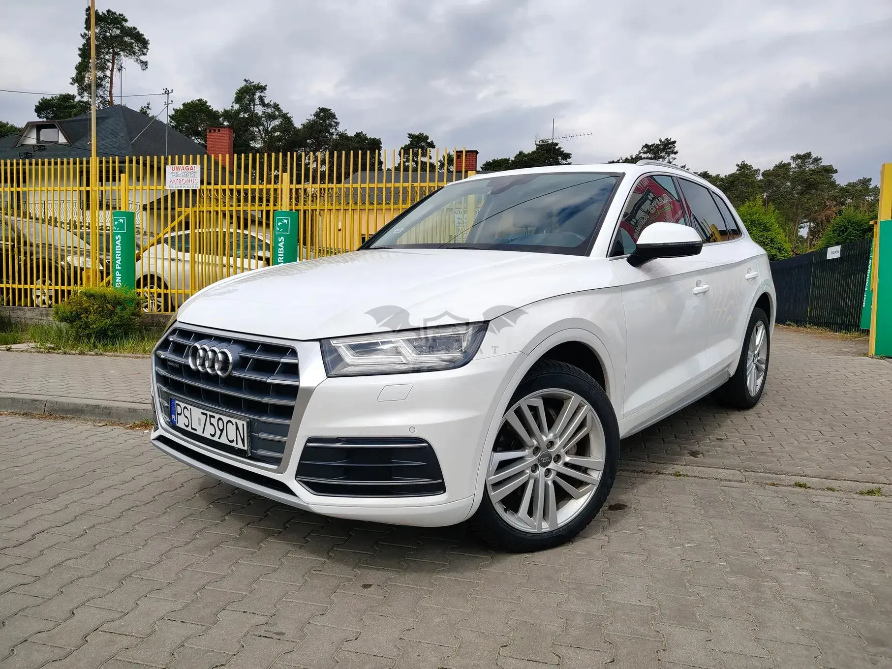 Audi Q5 FY 2019