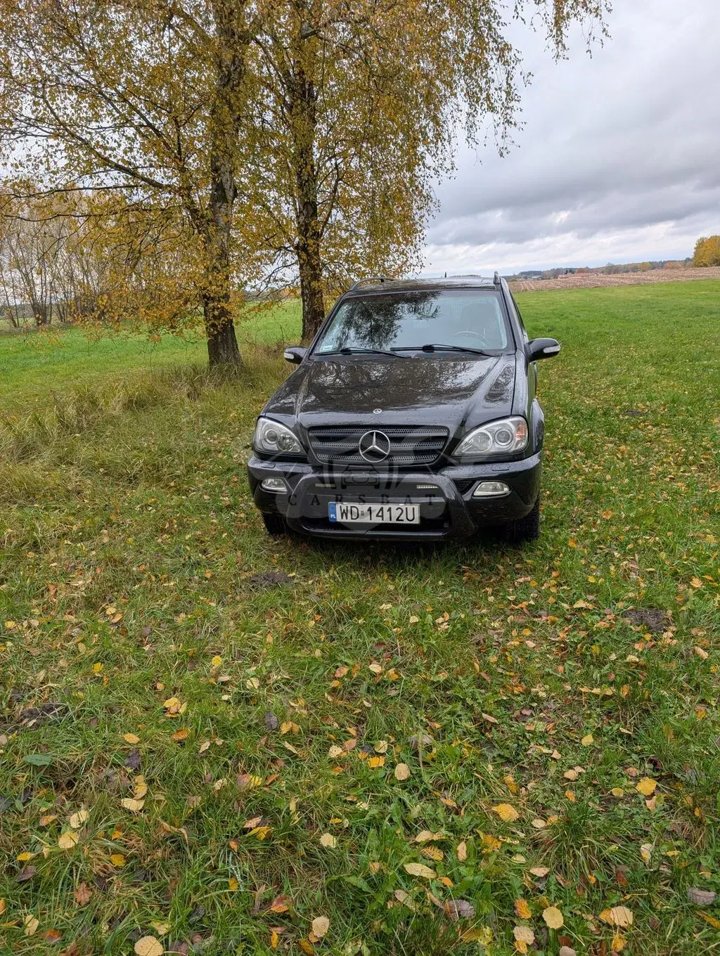 Mercedes-Benz ML W163 2004