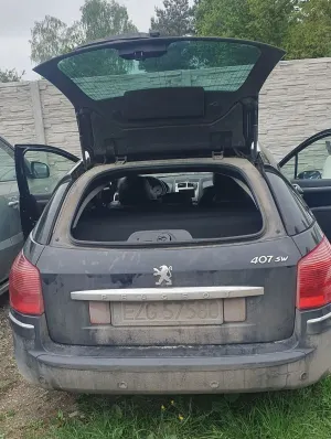 Peugeot 407 2008