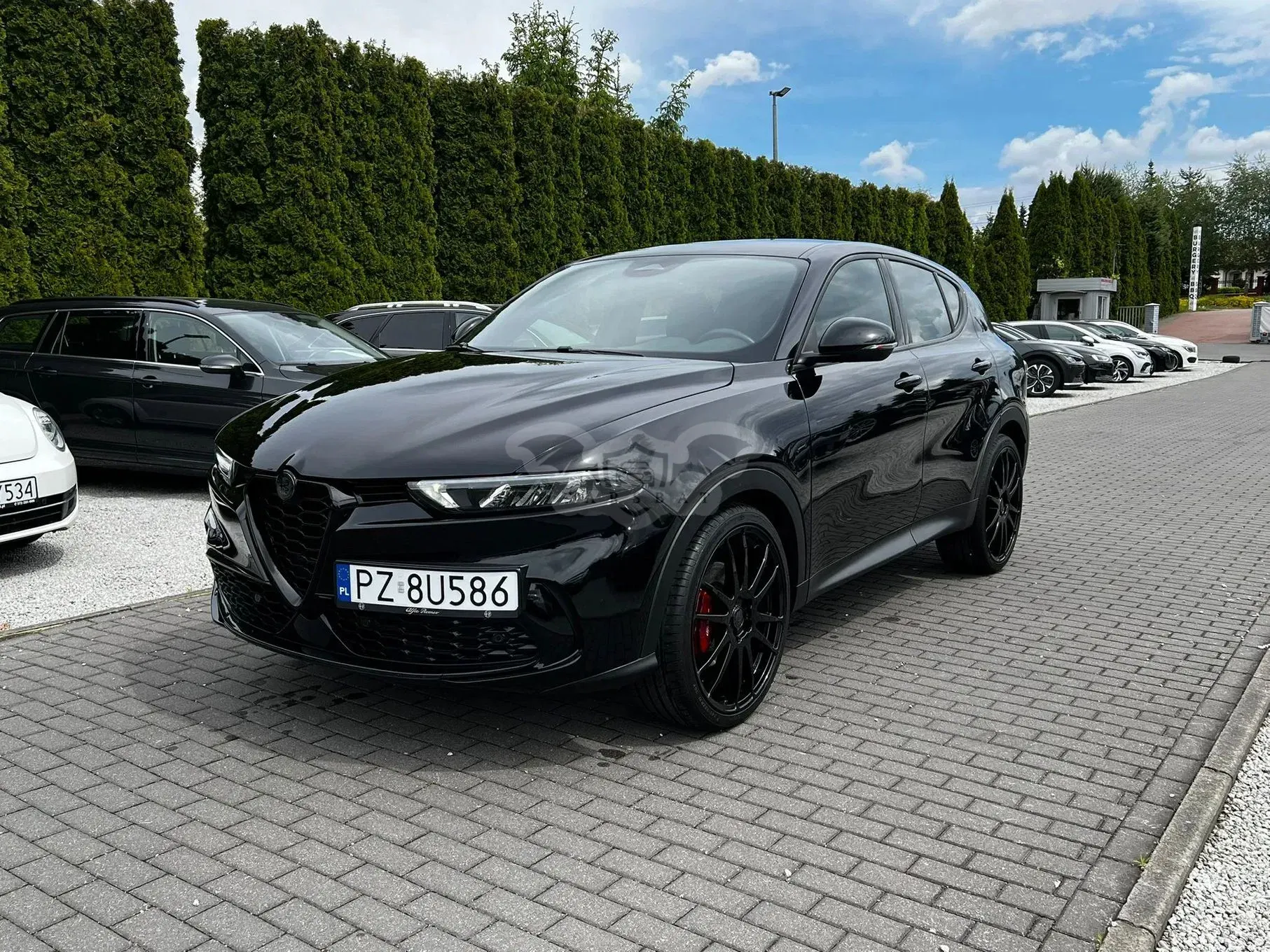 Alfa Romeo Tonale 1.5 T Edizione Speciale 2022