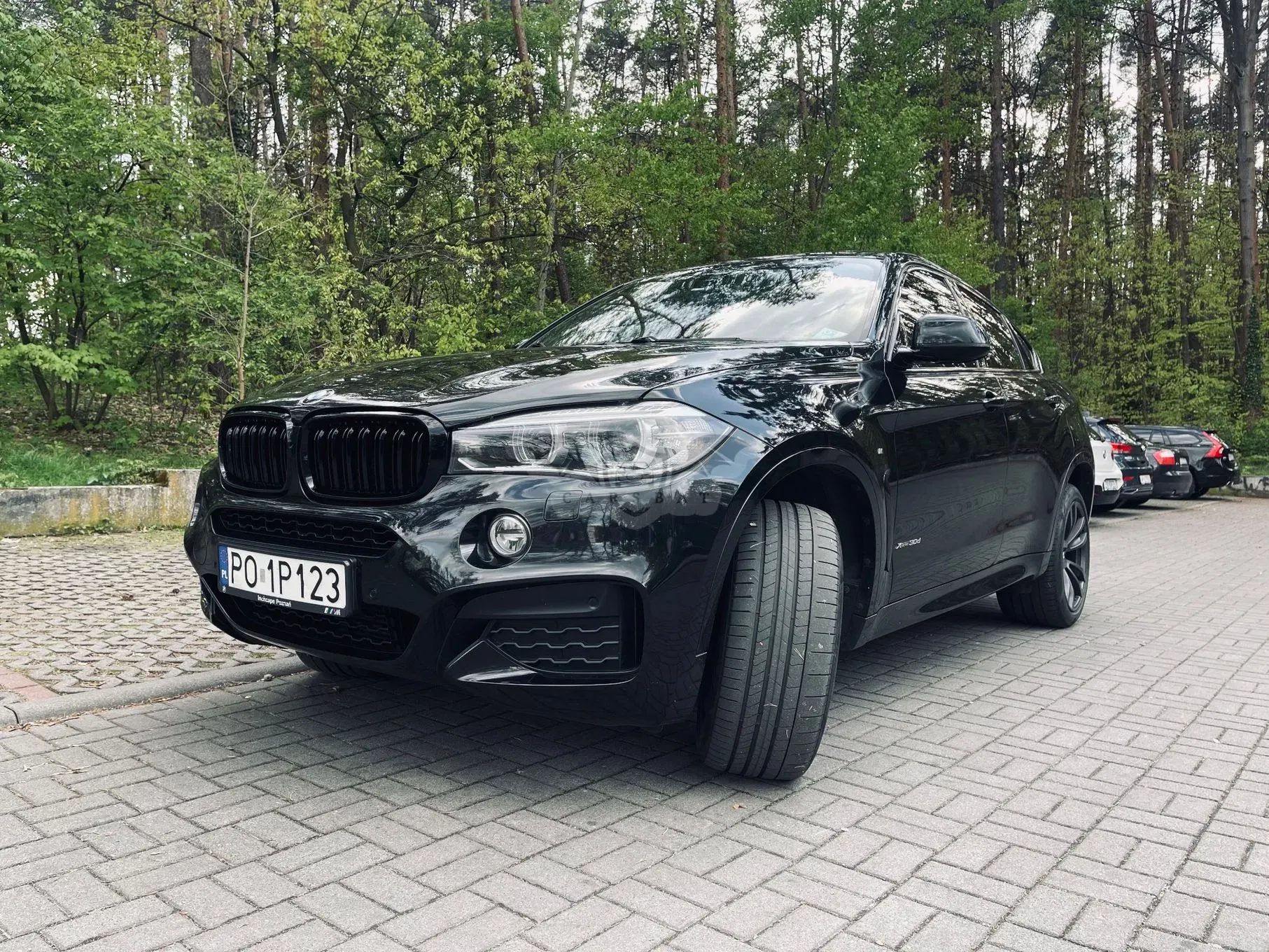 BMW X6 F16 xDrive30d 2015