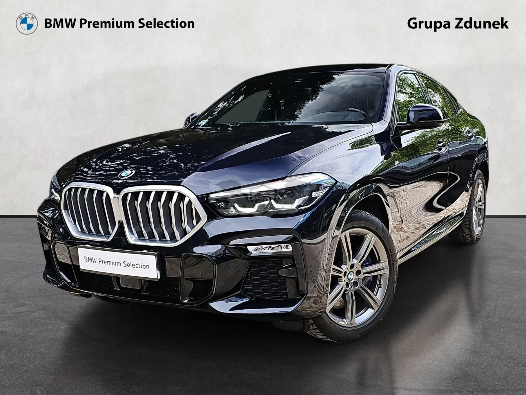 BMW X6 G06 2021
