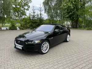 Jaguar XE 30t AWD Portfolio 2019