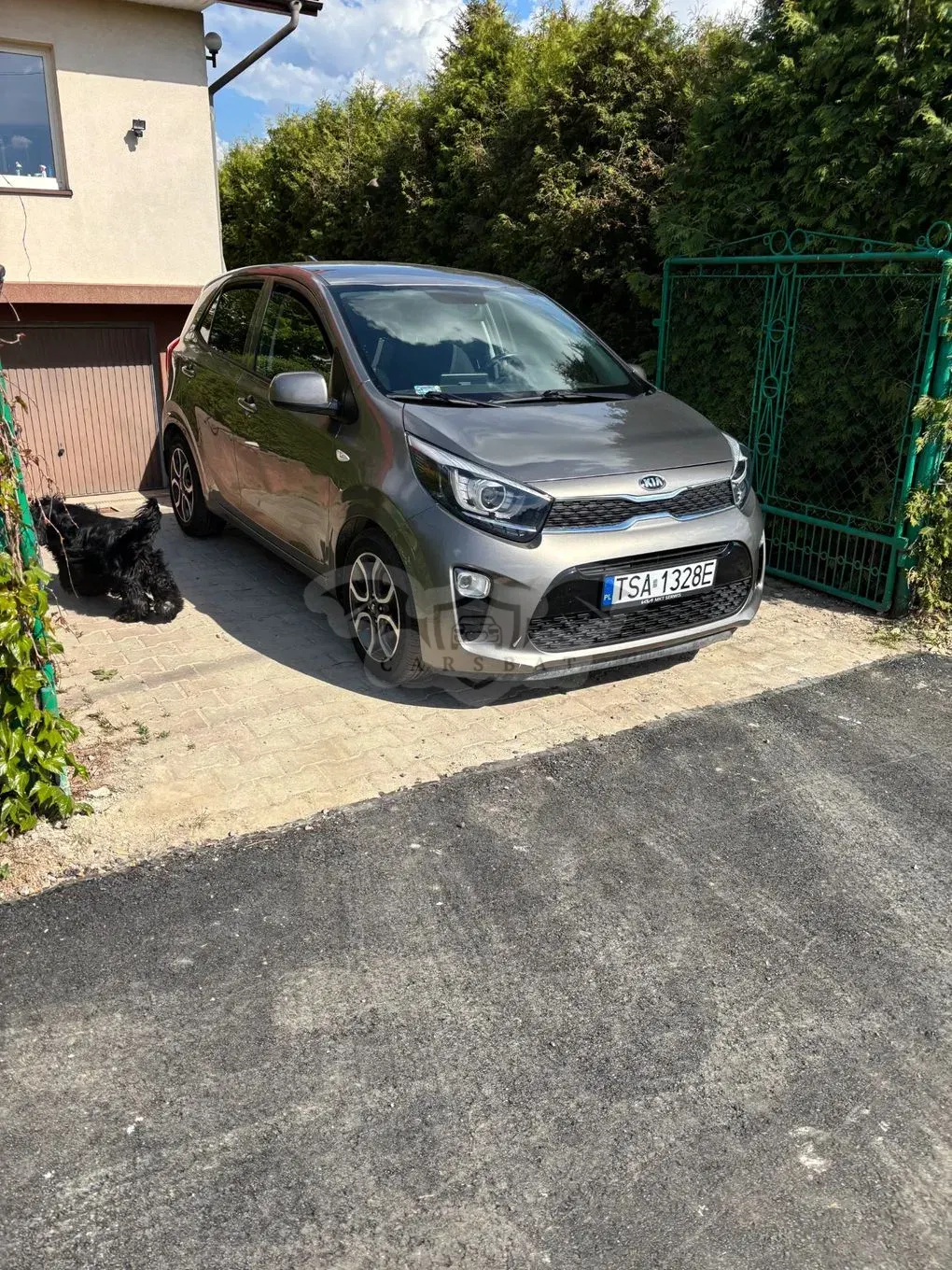 Kia Picanto (Morning) III 1.2 L 2019