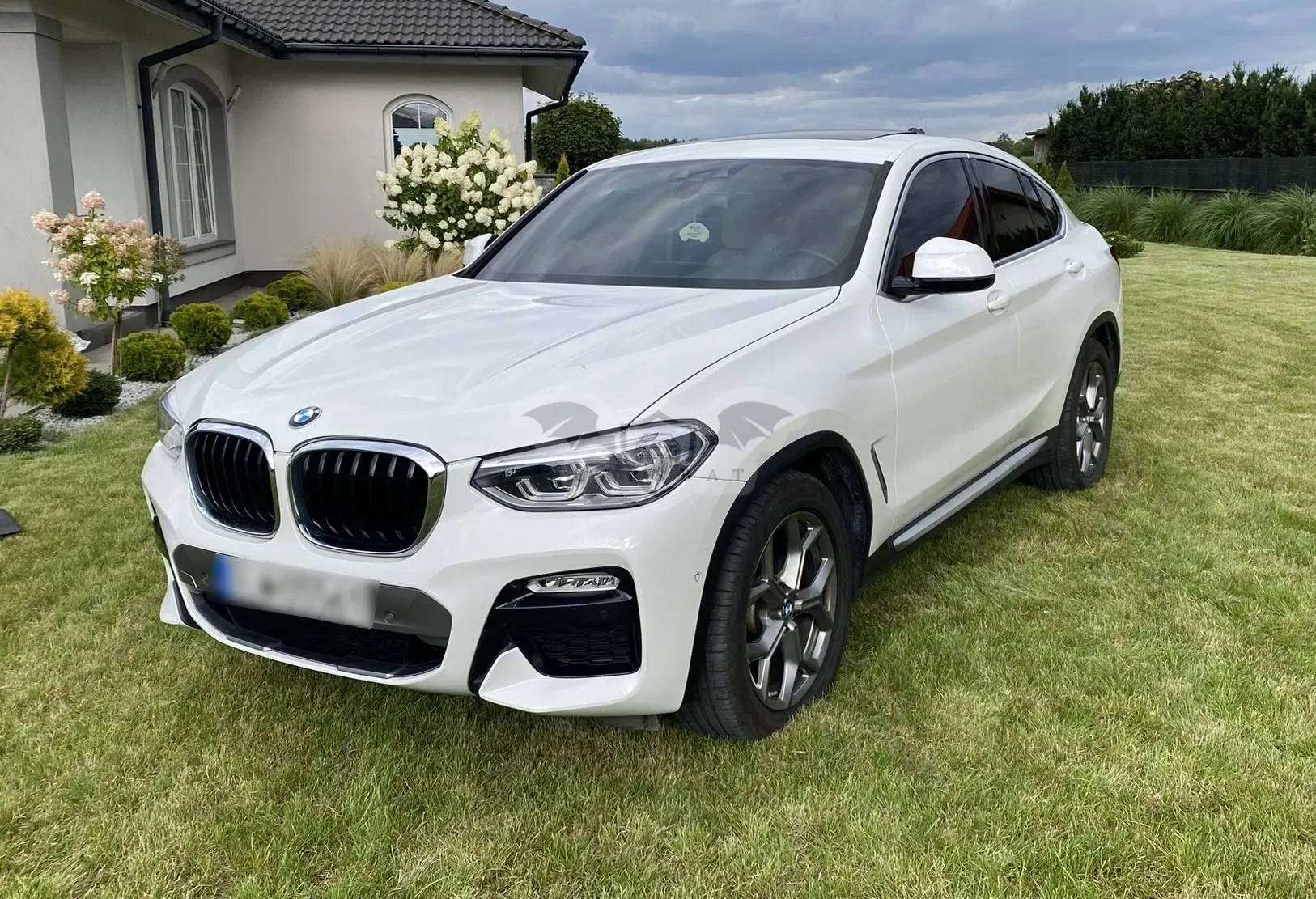 BMW X4 G02 xDrive30i xLine 2020