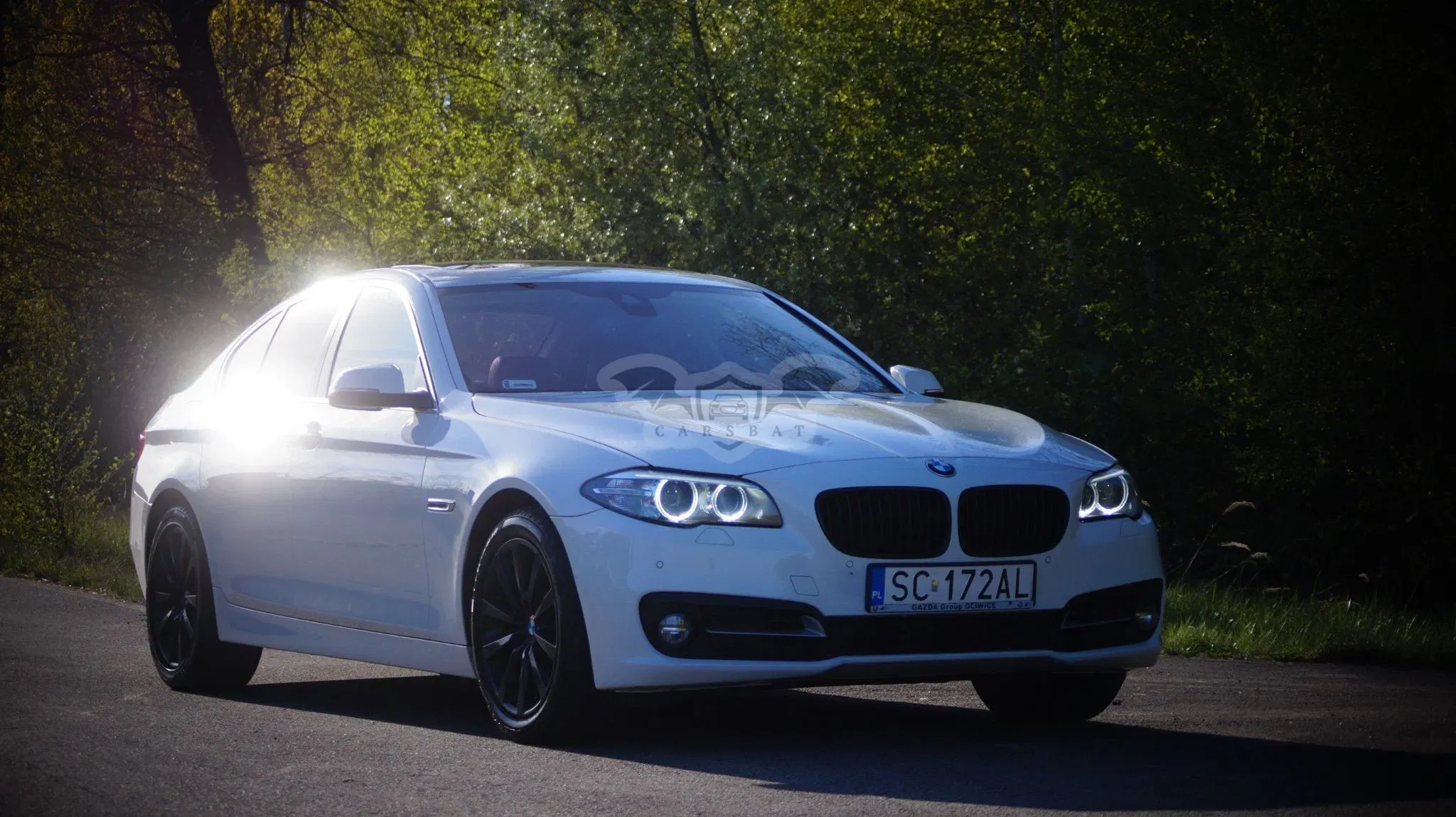 BMW 5 Series F10/F11 520d 2014
