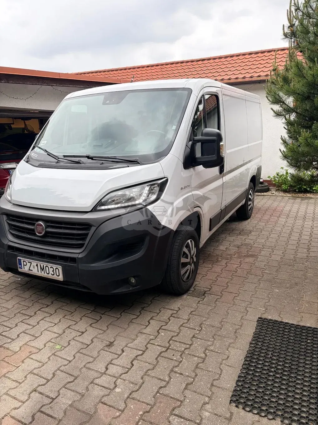 Fiat Ducato 2019