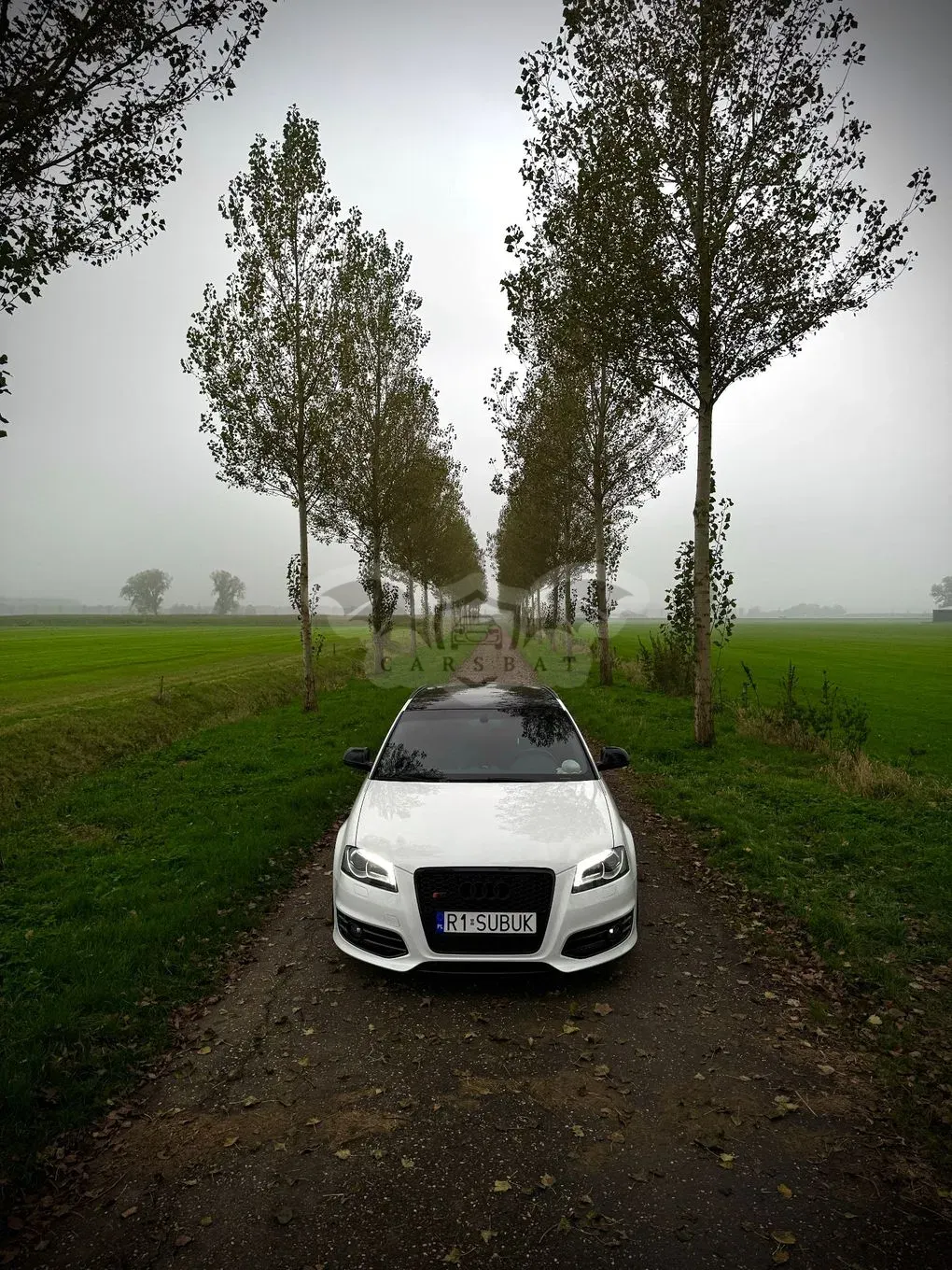 Audi S3 8P 2009