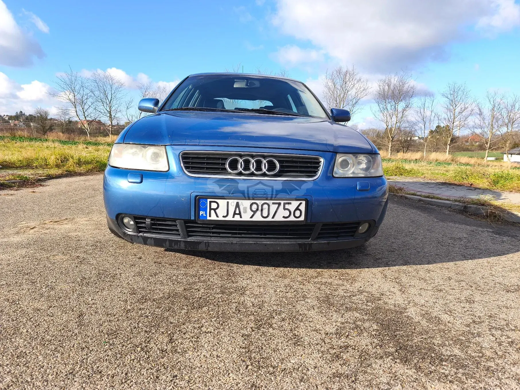 Audi A3 8L 1.9 TDI Ambiente Tiptronic 2002