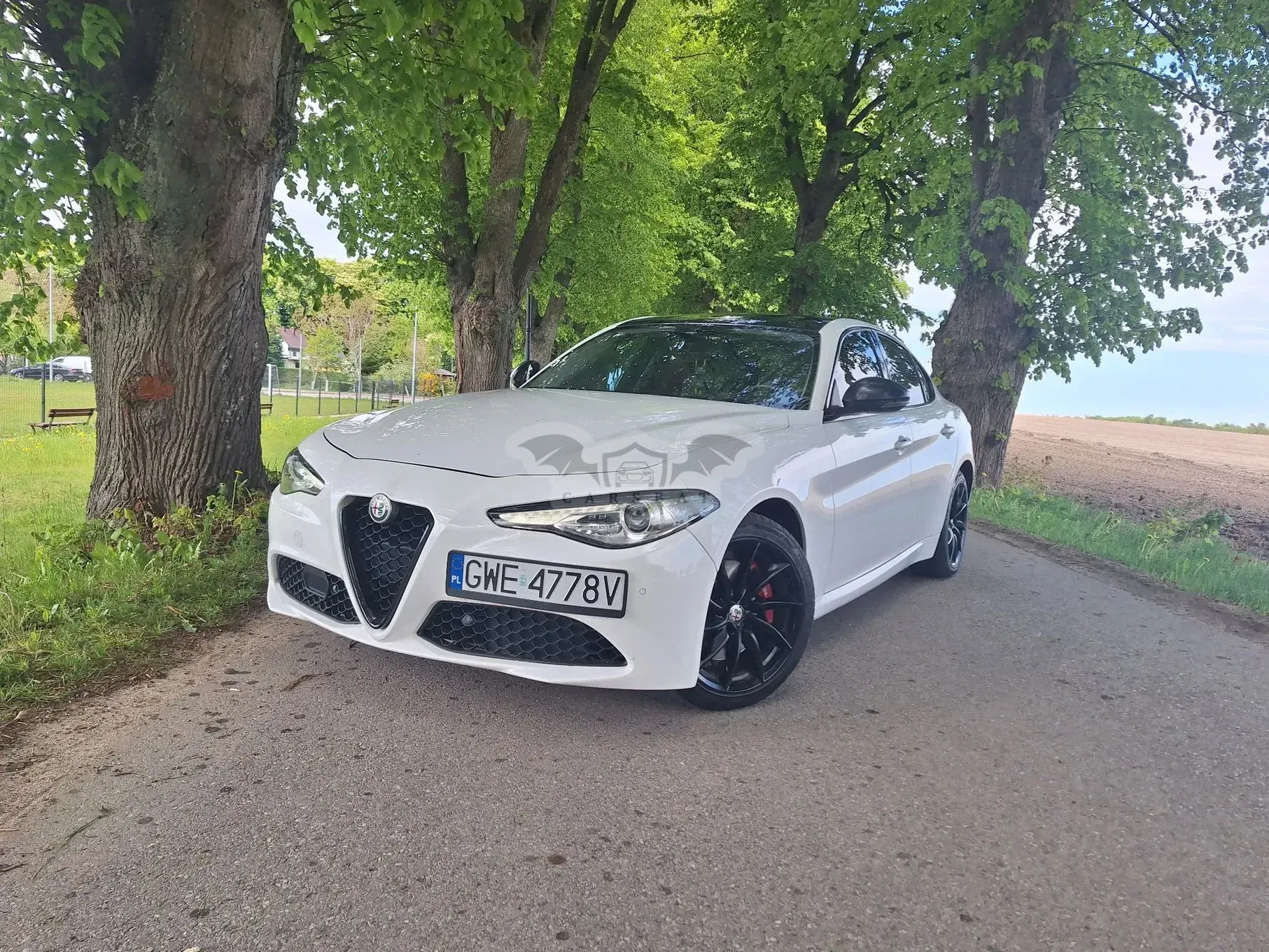 Alfa Romeo Giulia 2.0 Turbo TI Q4 2017