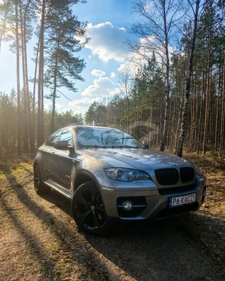BMW X6 E71 2010
