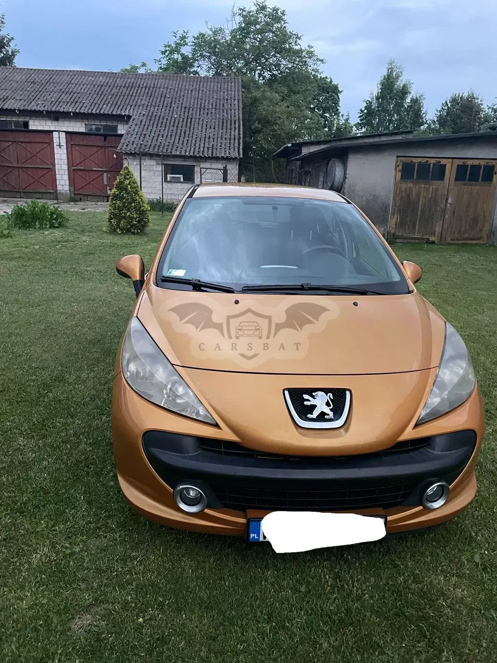 Peugeot 207 2007