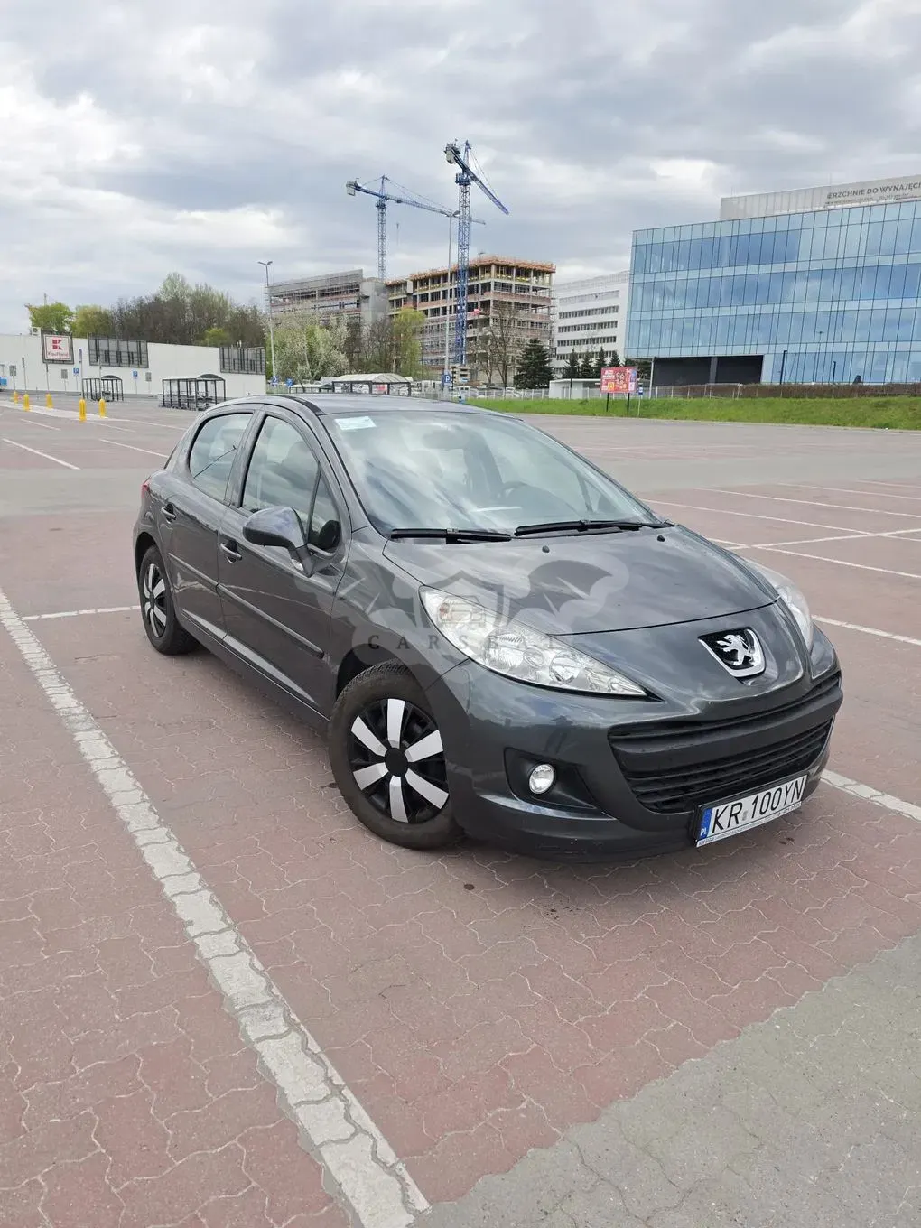 Peugeot 207 75 forever 2010