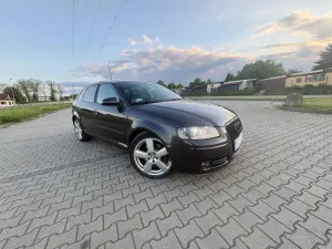 Audi A3 8P 2.0 TDI DPF Quattro Attraction 2007