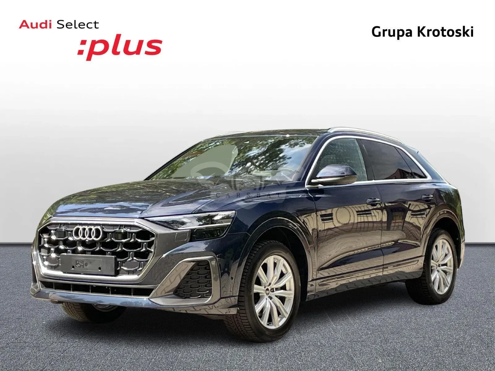 Audi Q8 2024