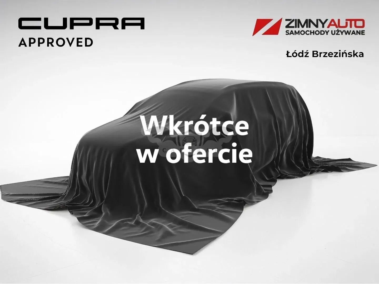 Cupra Formentor 2.0 TSI 4Drive DSG 2023