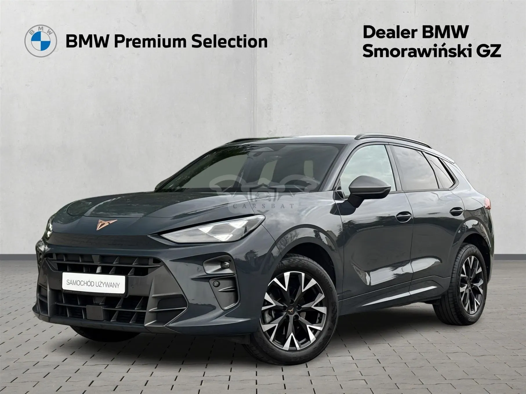 Cupra Terramar 2024