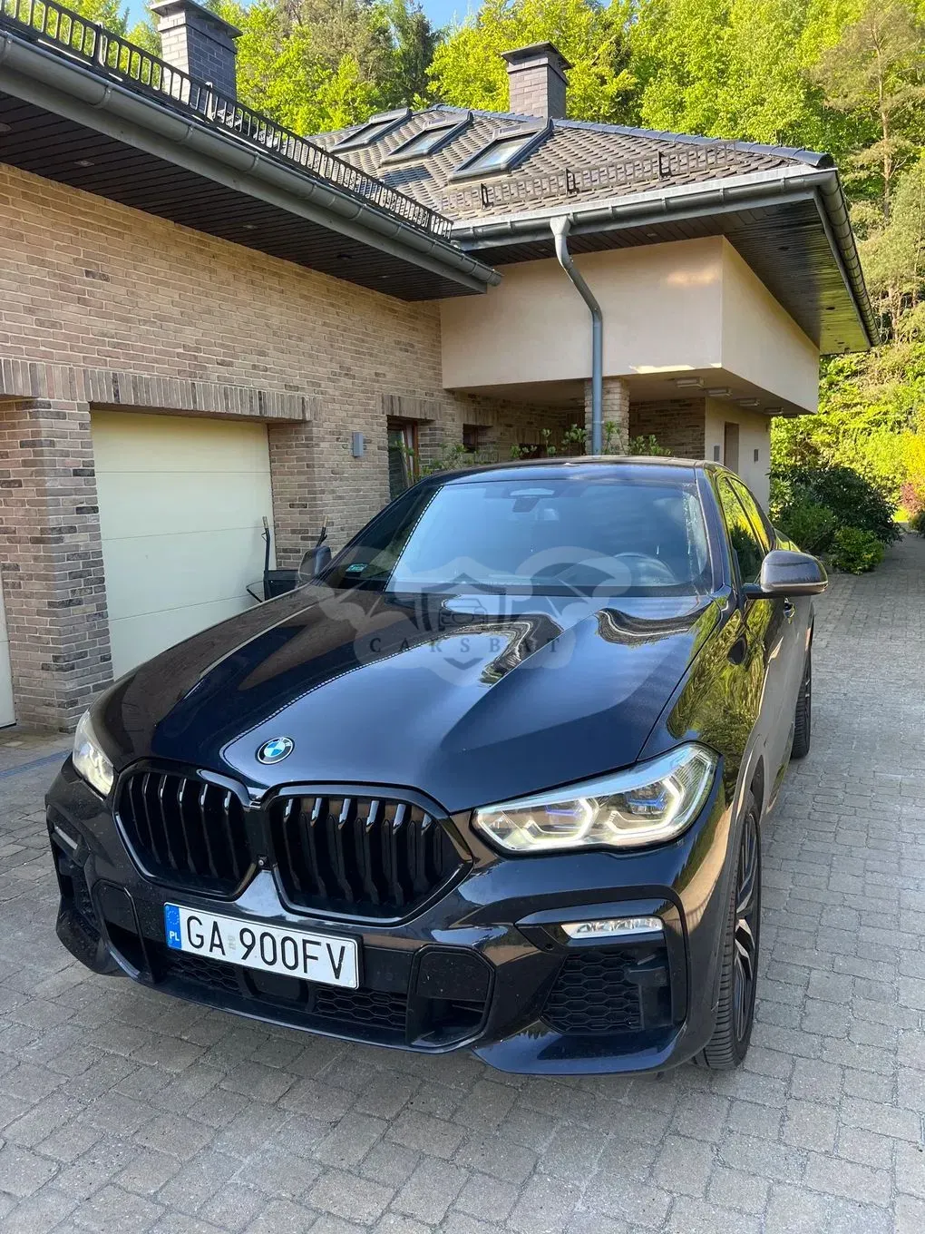 BMW X6 G06 2019