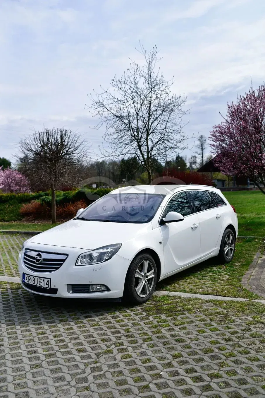 Opel Insignia A 2.0 CDTI EcoFLEX Cosmo 2011
