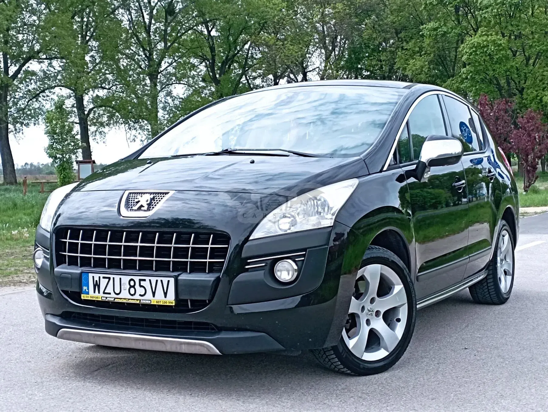 Peugeot 3008 I 2012