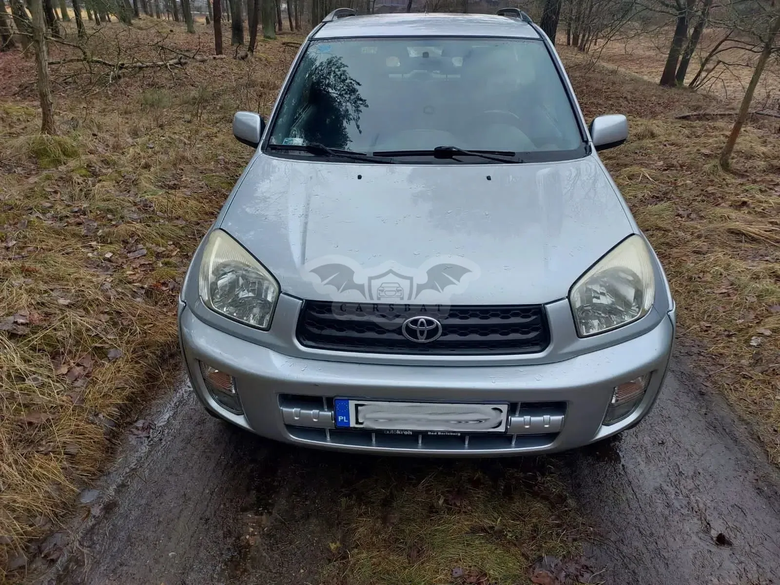 Toyota Rav4 II 2003