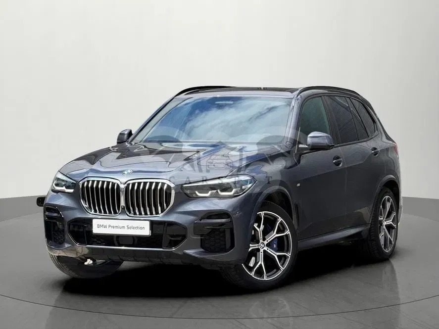 BMW X5 G05 xDrive25d sport 2022