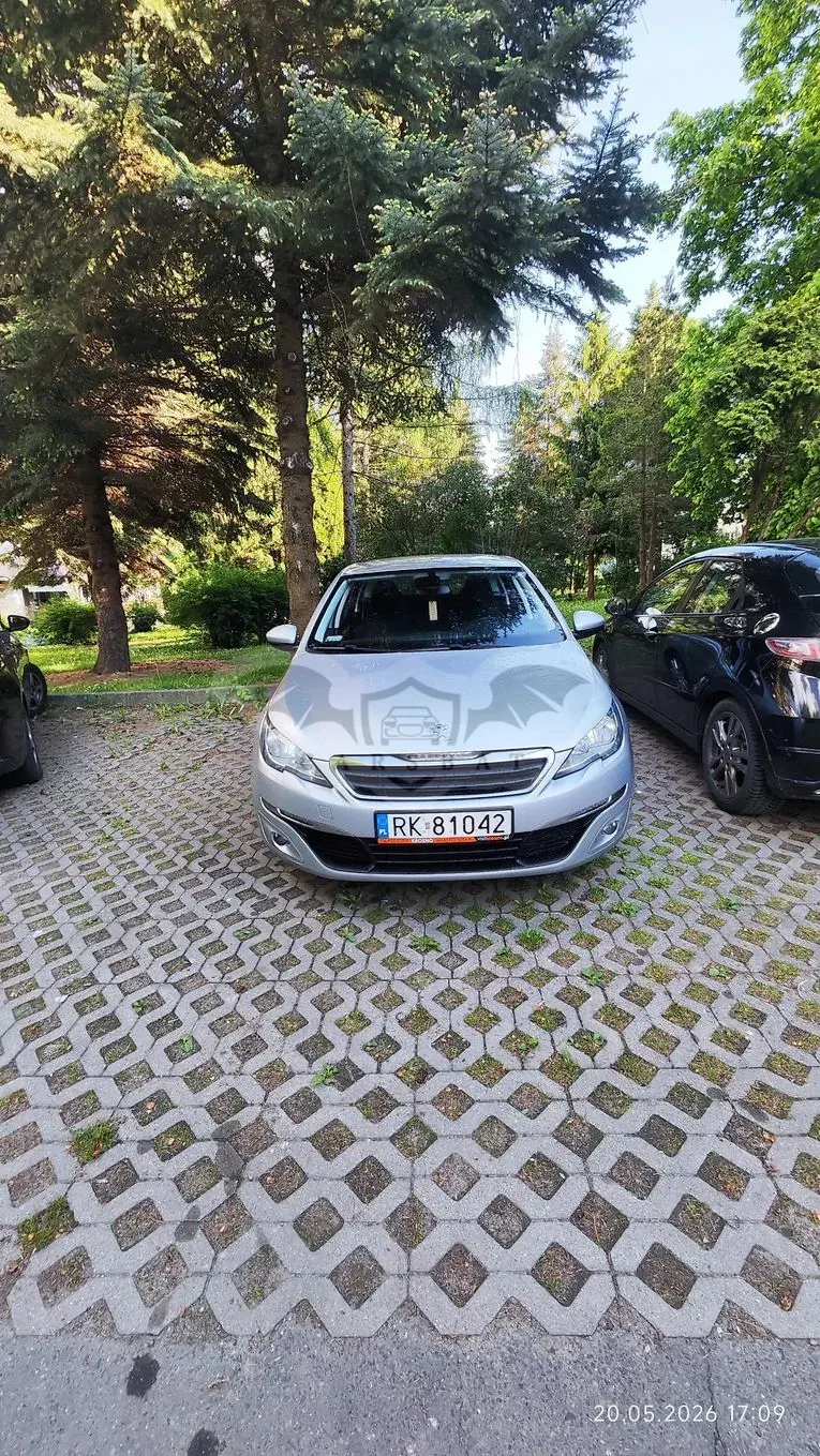 Peugeot 308 T9 1.6 BlueHDi Active S&S 2017
