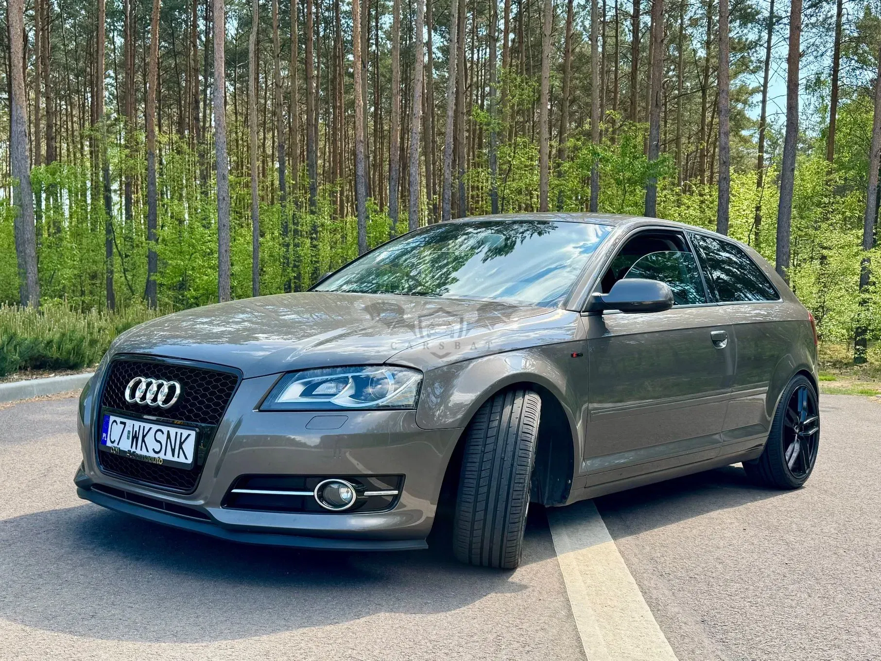 Audi A3 8P 2.0 TDI (clean diesel) S line Sportpaket 2011