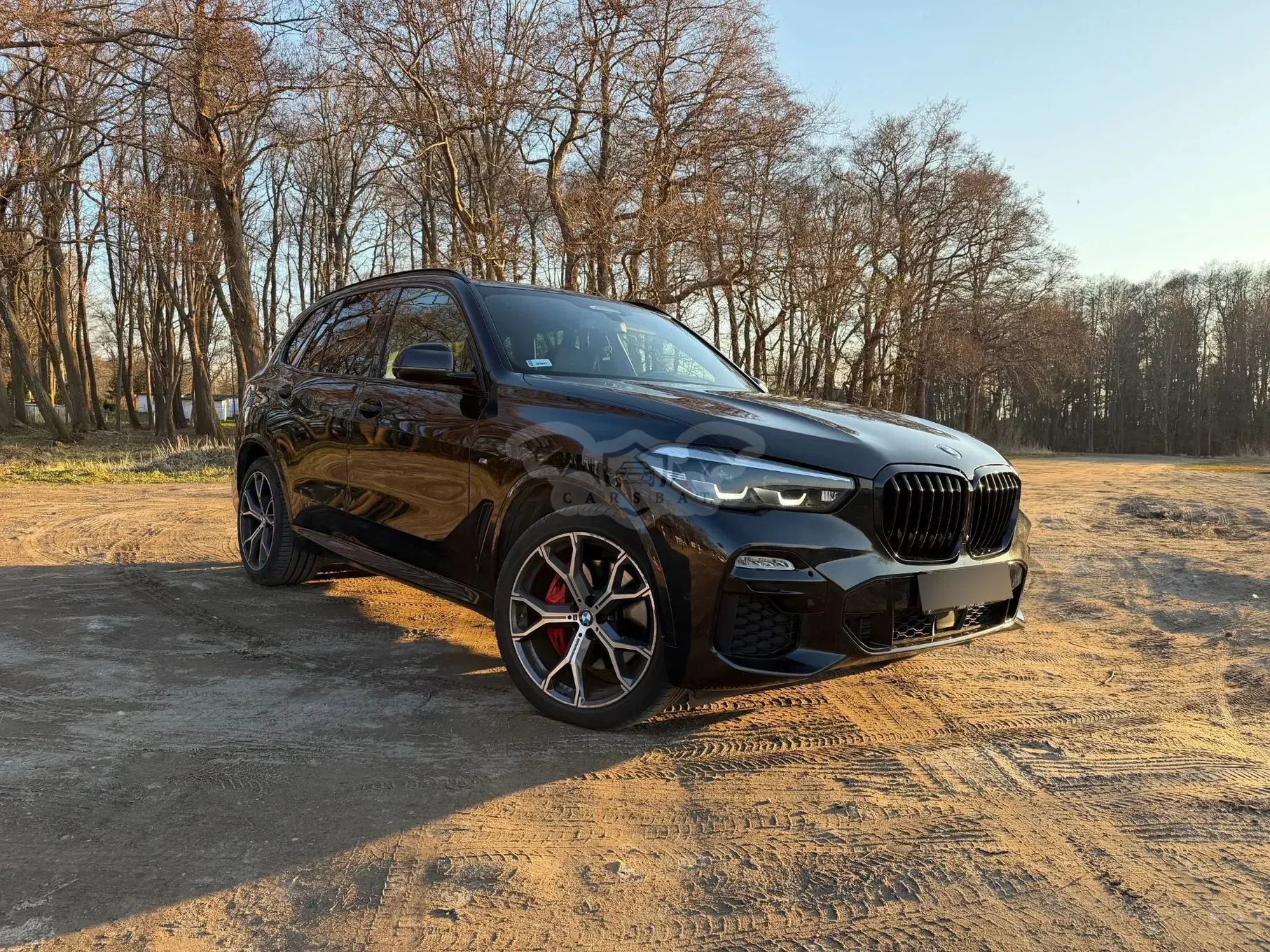 BMW X5 G05 xDrive30d mHEV 2021