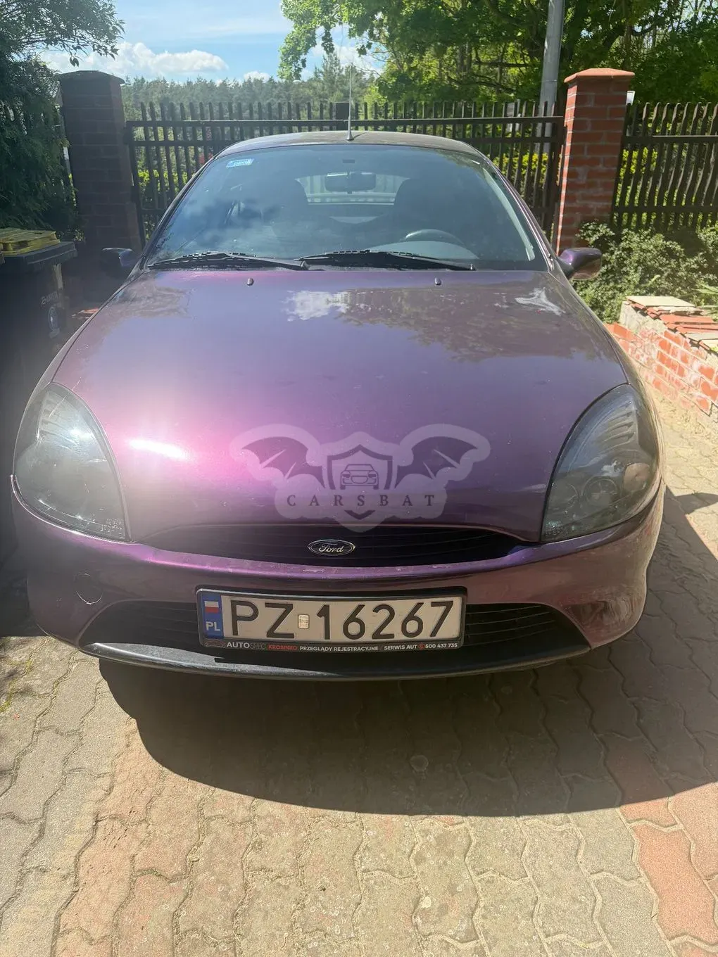 Ford Puma 1.4 EFI 1999