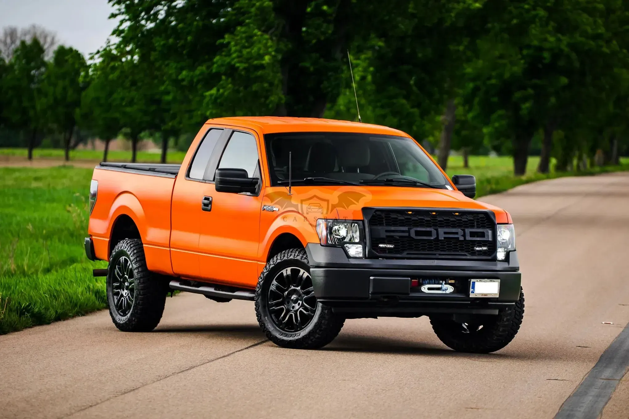 Ford F-150 2010