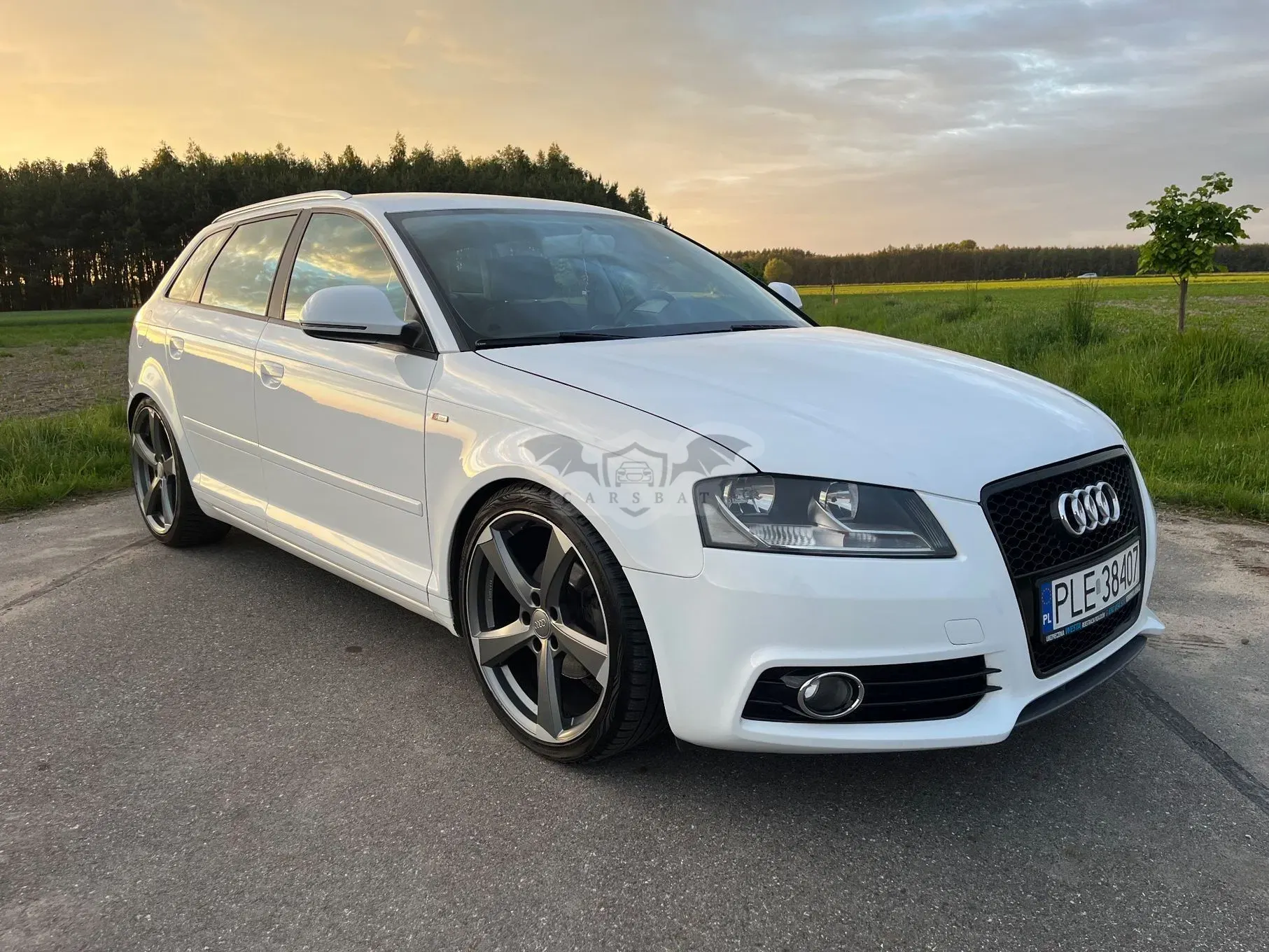 Audi A3 8P 2.0 TDI Ambition 2010