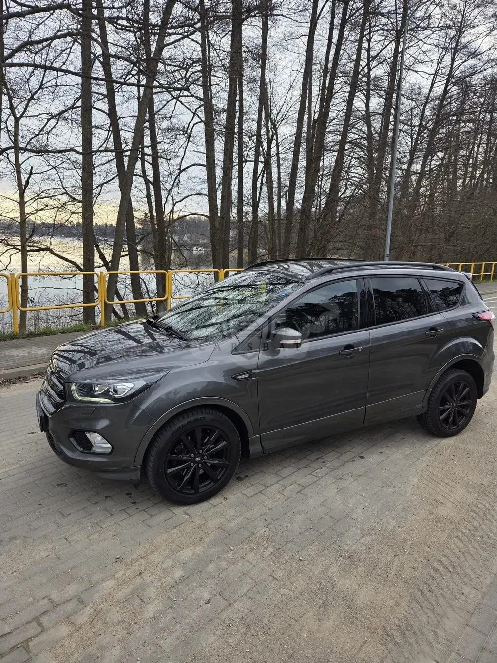 Ford Kuga II 2.0 TDCi 4x4 ST-Line 2019